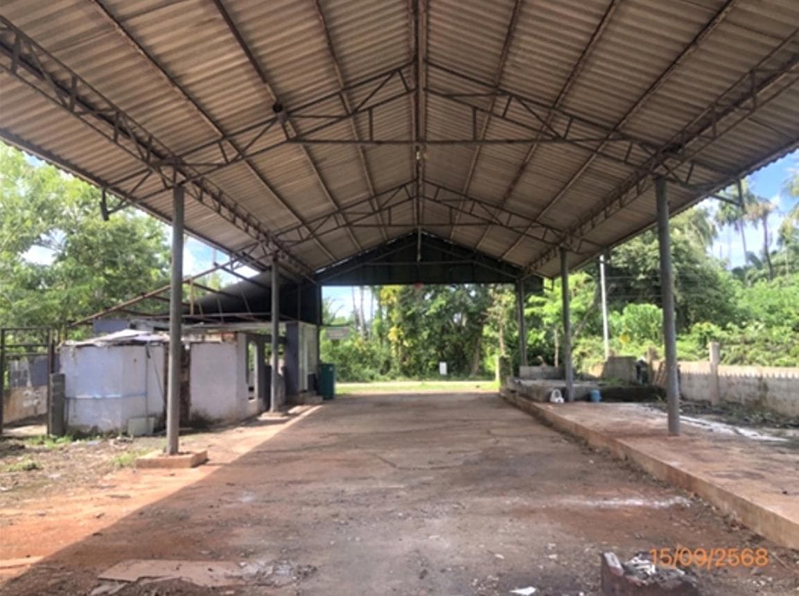 ขายโกดัง วัดประดู่ เมืองสุราษฎร์ธานี พื้นที่ 300 ตร.ม. ทำเลศักยภาพ เหมาะสำหรับจัดเก็บและกระจายสินค้า
