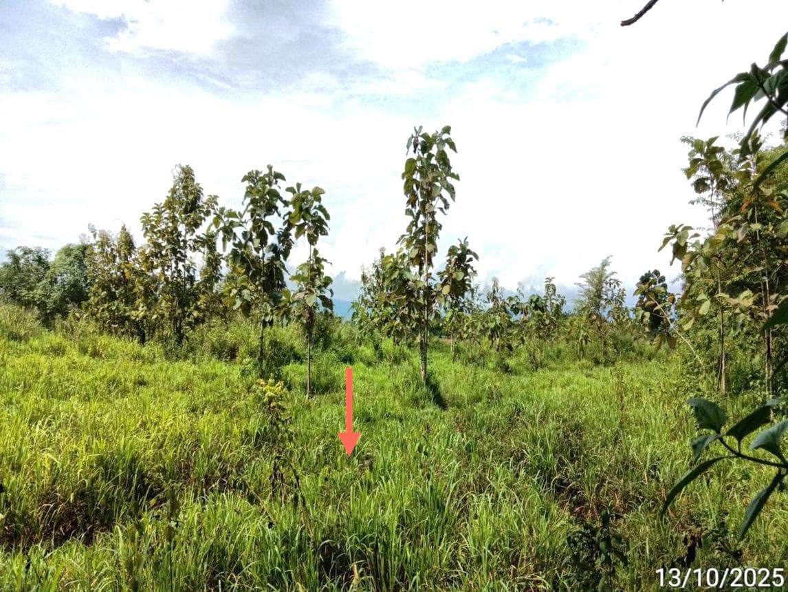 ที่ดินว่างเปล่า เตาปูน สอง แพร่ พื้นที่ 10.3 ตร.ว.
