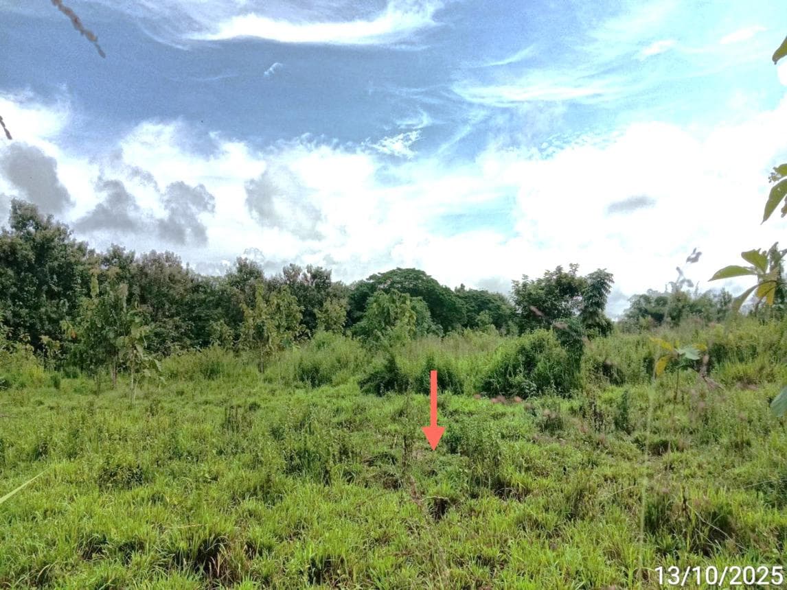 ที่ดินว่างเปล่า เตาปูน สอง แพร่ พื้นที่ 10.3 ตร.ว.