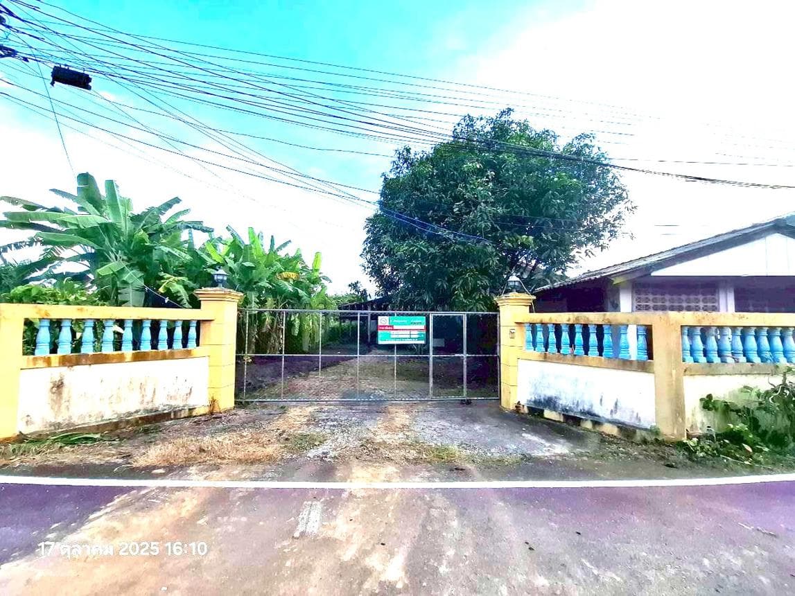 ขายบ้านเดี่ยว หนองตอง หางดง เชียงใหม่ พื้นที่ใช้สอยมหาศาล 511.5 ตร.ม. ทำเลสงบ บรรยากาศเหนือระดับ