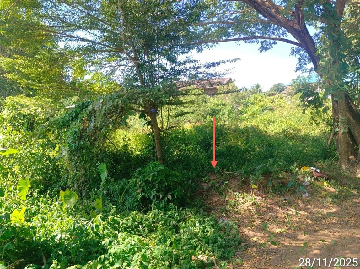 บ้านเดี่ยว แม่ระมาด ตาก ทำเลขะเนจื้อ พื้นที่ 61 ตร.ว. บรรยากาศสงบ ราคาคุ้มค่า