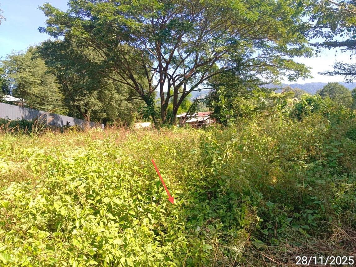 บ้านเดี่ยว แม่ระมาด ตาก ทำเลขะเนจื้อ พื้นที่ 61 ตร.ว. บรรยากาศสงบ ราคาคุ้มค่า