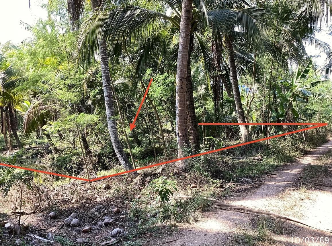 ที่ดินเปล่า 6 ไร่ ทำเลดี ติดถนนเลียบคลองชลประทาน ดอนไผ่ ดำเนินสะดวก ราชบุรี