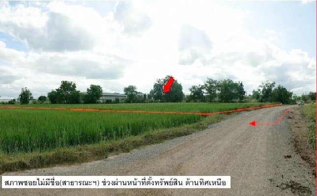 ที่ดินว่างเปล่า ด่านขุนทด-นครราชสีมา