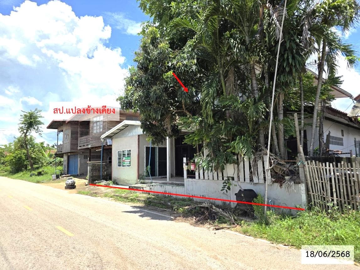 ขายบ้านเดี่ยว วาริชภูมิ สกลนคร ทำเลหนองลาด เนื้อที่ 31 ตร.ว. พื้นที่ใช้สอย 318 ตร.ม. 1 ห้องนอน 1 ห้องน้ำ สภาพดี พร้อมอยู่