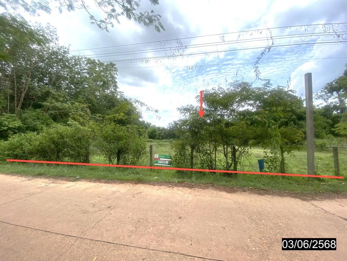 ที่ดินว่างเปล่า ศรีวิไล บึงกาฬ ทำเลศักยภาพเพื่อการลงทุน