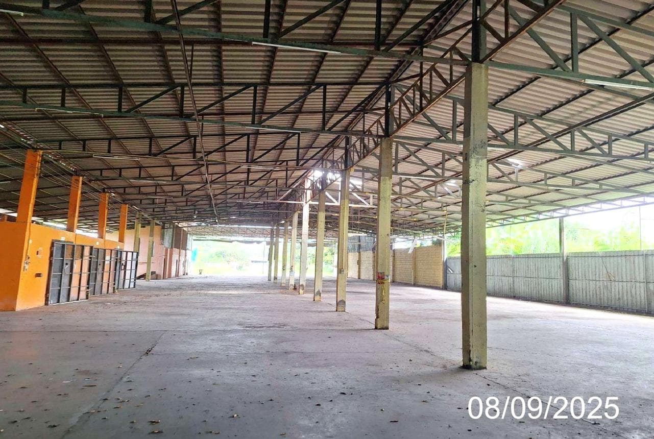 ขายโกดังคลังสินค้า หนองยวง เวียงหนองล่อง ลำพูน พื้นที่กว้าง 2,426 ตร.ม. ทำเลธุรกิจจัดเต็ม