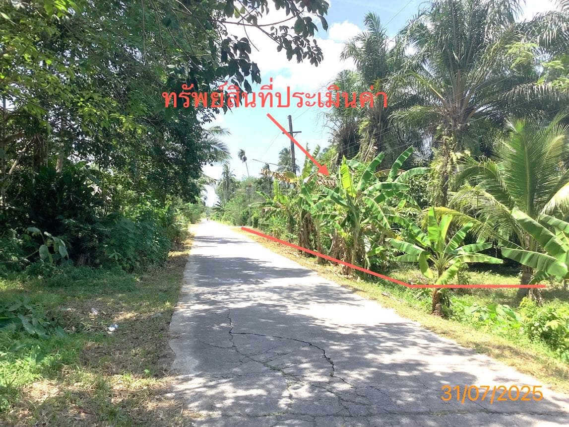 บ้านเดี่ยว เสาธง ร่อนพิบูลย์ นครศรีธรรมราช 2 ห้องนอน 2 ห้องน้ำ พื้นที่กว้าง 76.5 ตร.ว. สเปซเยอะราคาคุ้มค่า