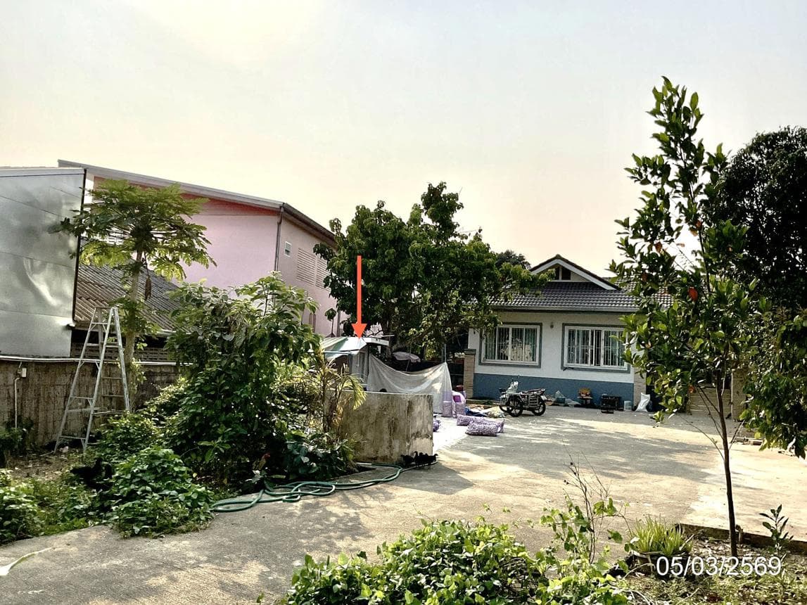 บ้านเดี่ยวหลังใหญ่ 4 ห้องนอน ทำเลท่าสาย เมืองเชียงราย สเปซกว้าง ฟีลลิ่งอบอุ่นสุดๆ