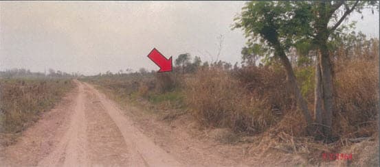 ที่ดินเปล่า หนองบัวระเหว ชัยภูมิ