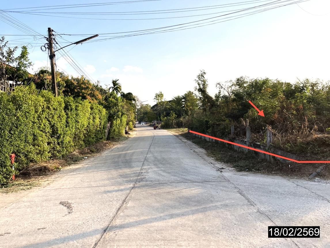 ที่ดินเปล่าผืนใหญ่ 49 ไร่ ทำเลศักยภาพ หนองกุงศรี กาฬสินธุ์ เหมาะสำหรับการเกษตรและการลงทุน
