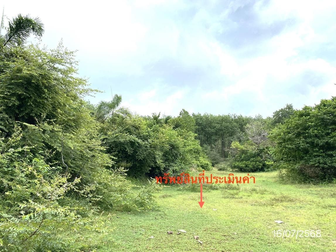 ที่ดินเปล่า เกาะสุกร ปะเหลียน ตรัง เนื้อที่ 63.3 ตร.ว.