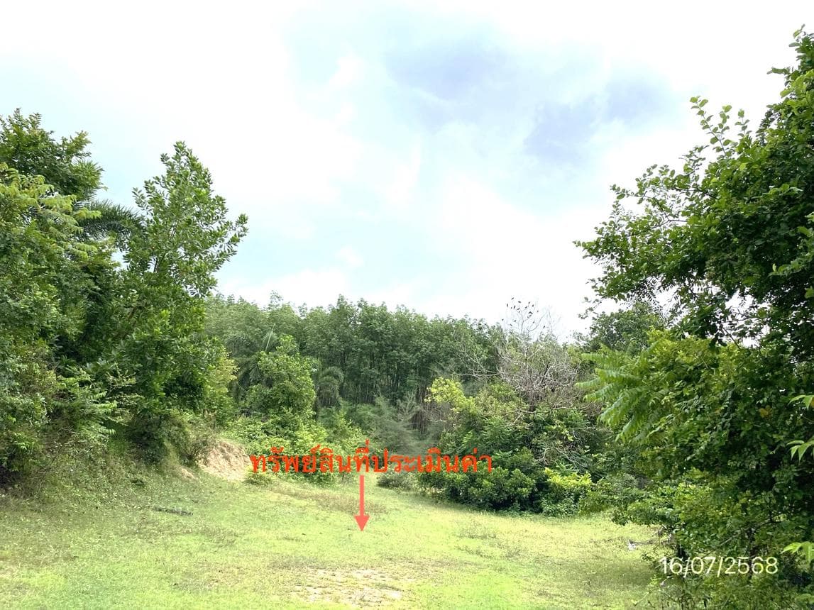 ที่ดินเปล่า เกาะสุกร ปะเหลียน ตรัง เนื้อที่ 63.3 ตร.ว.