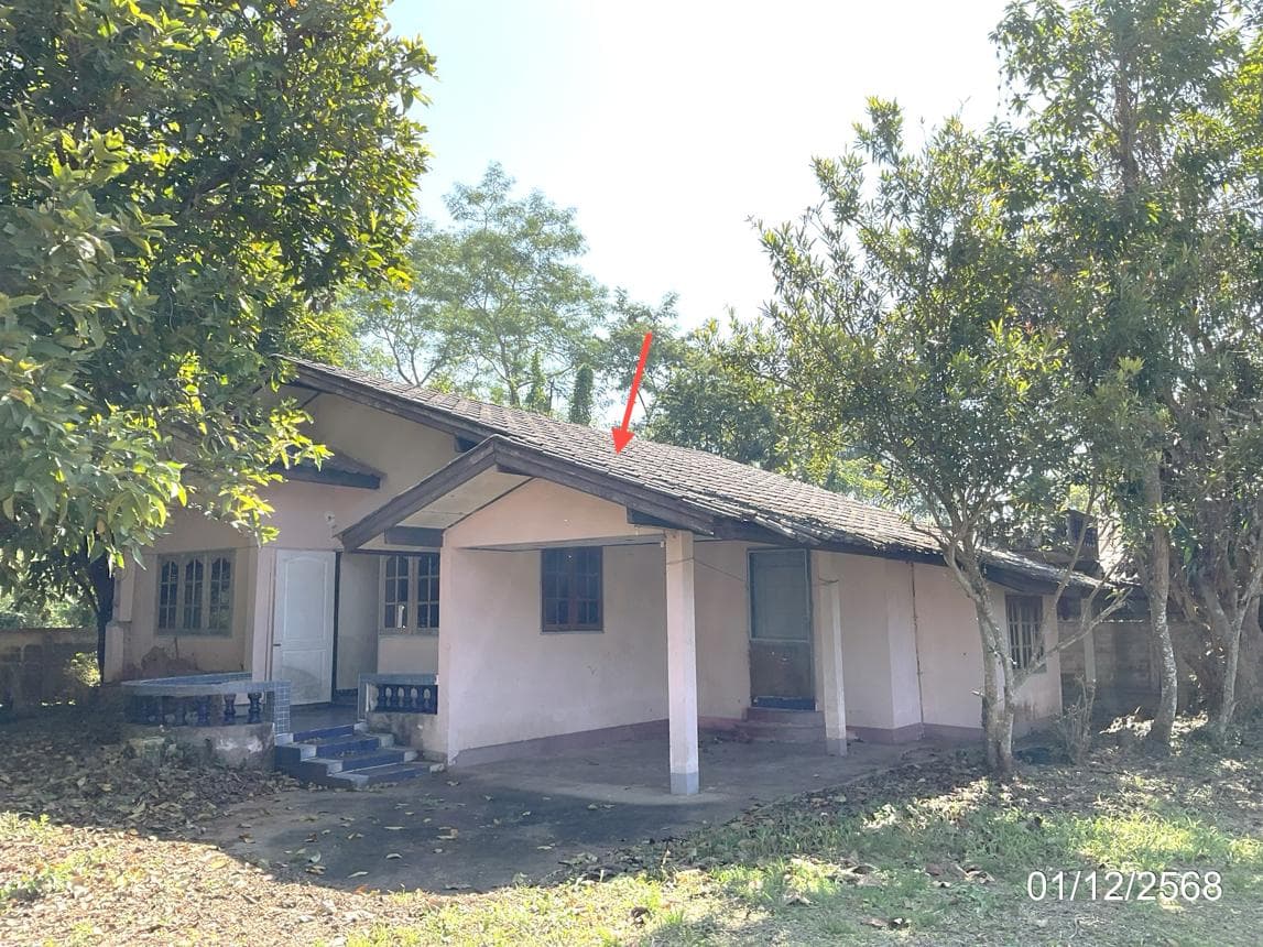 บ้านเดี่ยว 3 ห้องนอน พื้นที่ 105 ตร.ม. ทำเลศักยภาพ เมืองพาน พาน เชียงราย