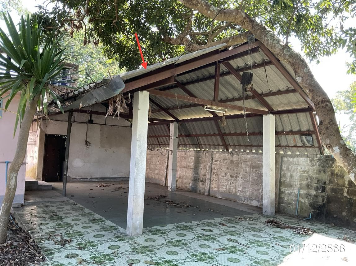 บ้านเดี่ยว 3 ห้องนอน พื้นที่ 105 ตร.ม. ทำเลศักยภาพ เมืองพาน พาน เชียงราย