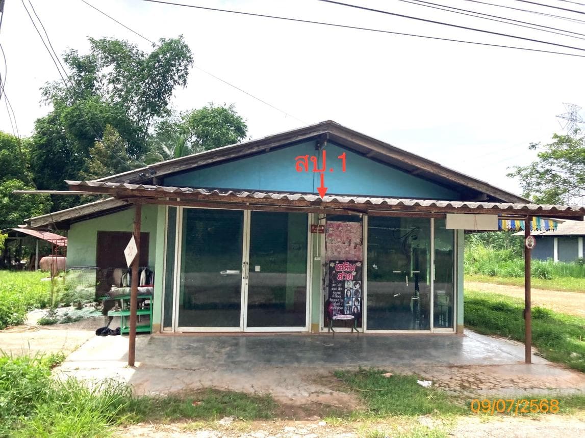 ขายบ้านเดี่ยวหลังใหญ่ 2 ห้องนอน 2 ห้องน้ำ พื้นที่ใช้สอยกว้างขวาง 172 ตร.ม. ทำเลดี ย่านบางมะเดื่อ พุนพิน สุราษฎร์ธานี บรรยากาศเงียบสงบร่มรื่นมีความเป็นส่วนตัวสูง