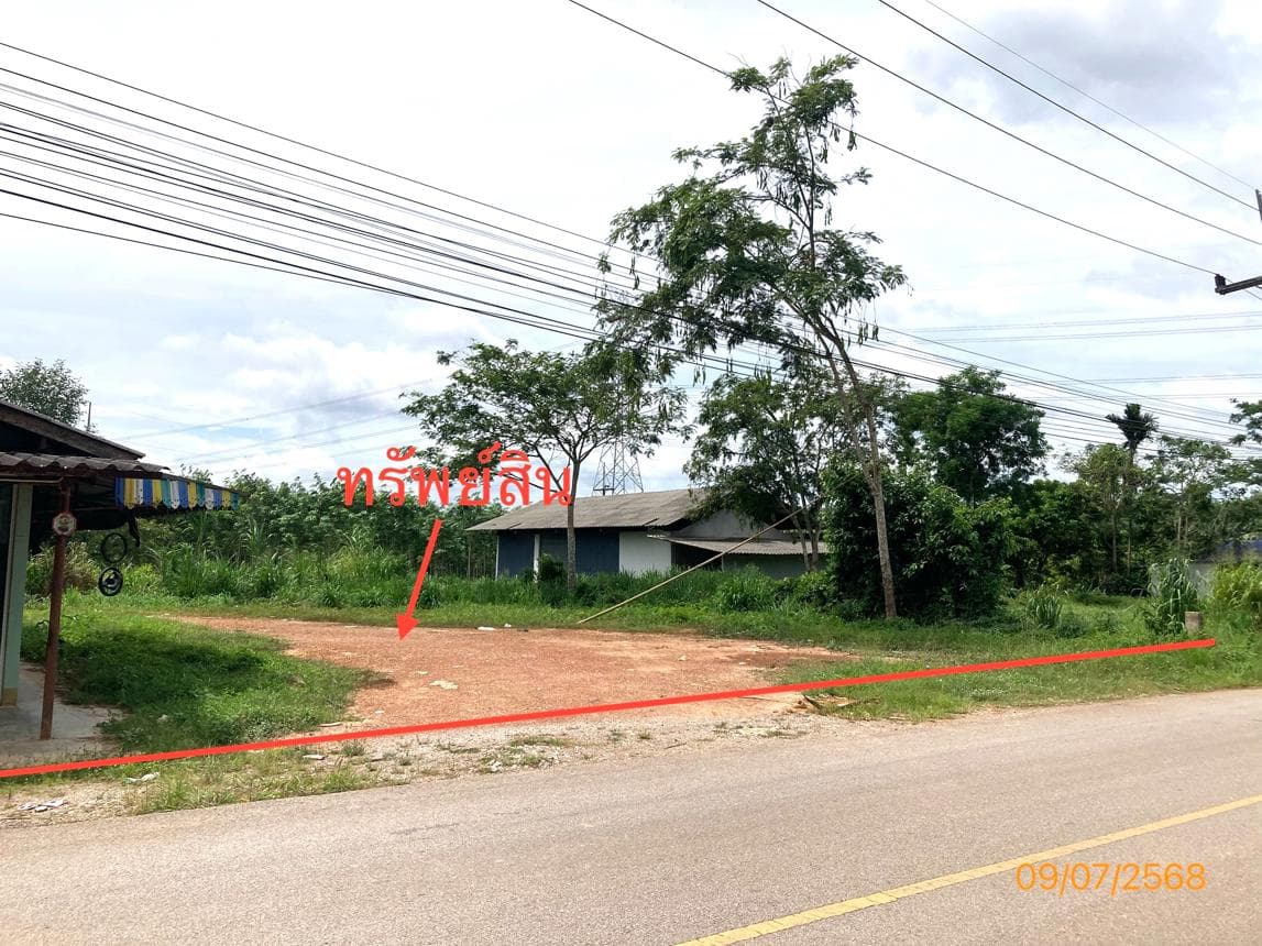 ขายบ้านเดี่ยวหลังใหญ่ 2 ห้องนอน 2 ห้องน้ำ พื้นที่ใช้สอยกว้างขวาง 172 ตร.ม. ทำเลดี ย่านบางมะเดื่อ พุนพิน สุราษฎร์ธานี บรรยากาศเงียบสงบร่มรื่นมีความเป็นส่วนตัวสูง