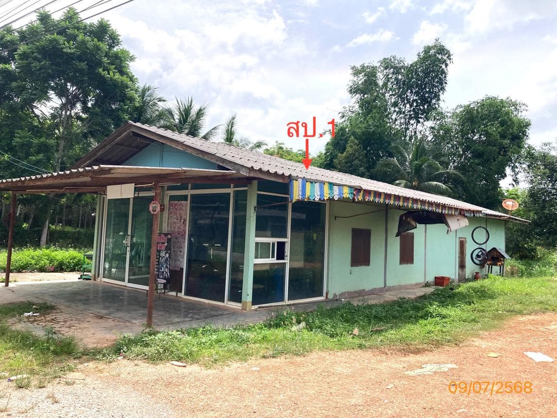 ขายบ้านเดี่ยวหลังใหญ่ 2 ห้องนอน 2 ห้องน้ำ พื้นที่ใช้สอยกว้างขวาง 172 ตร.ม. ทำเลดี ย่านบางมะเดื่อ พุนพิน สุราษฎร์ธานี บรรยากาศเงียบสงบร่มรื่นมีความเป็นส่วนตัวสูง
