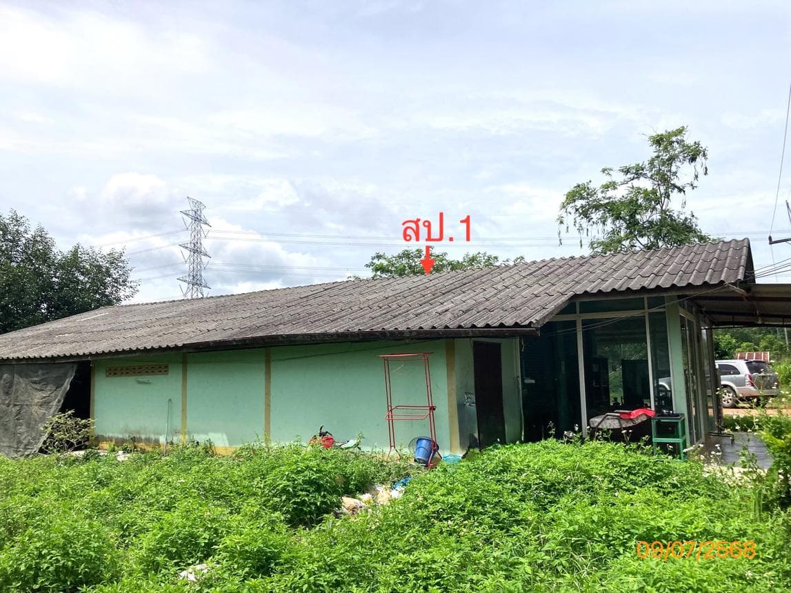 ขายบ้านเดี่ยวหลังใหญ่ 2 ห้องนอน 2 ห้องน้ำ พื้นที่ใช้สอยกว้างขวาง 172 ตร.ม. ทำเลดี ย่านบางมะเดื่อ พุนพิน สุราษฎร์ธานี บรรยากาศเงียบสงบร่มรื่นมีความเป็นส่วนตัวสูง