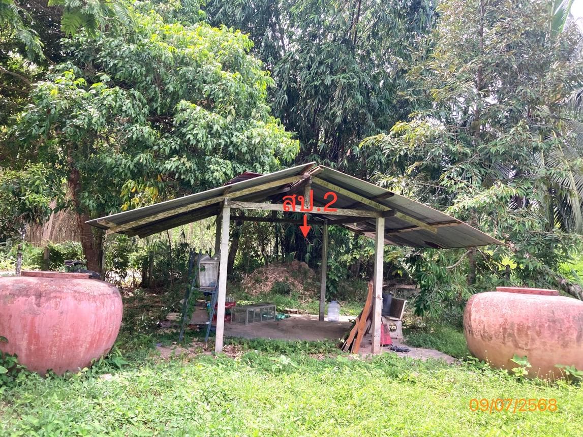 ขายบ้านเดี่ยวหลังใหญ่ 2 ห้องนอน 2 ห้องน้ำ พื้นที่ใช้สอยกว้างขวาง 172 ตร.ม. ทำเลดี ย่านบางมะเดื่อ พุนพิน สุราษฎร์ธานี บรรยากาศเงียบสงบร่มรื่นมีความเป็นส่วนตัวสูง