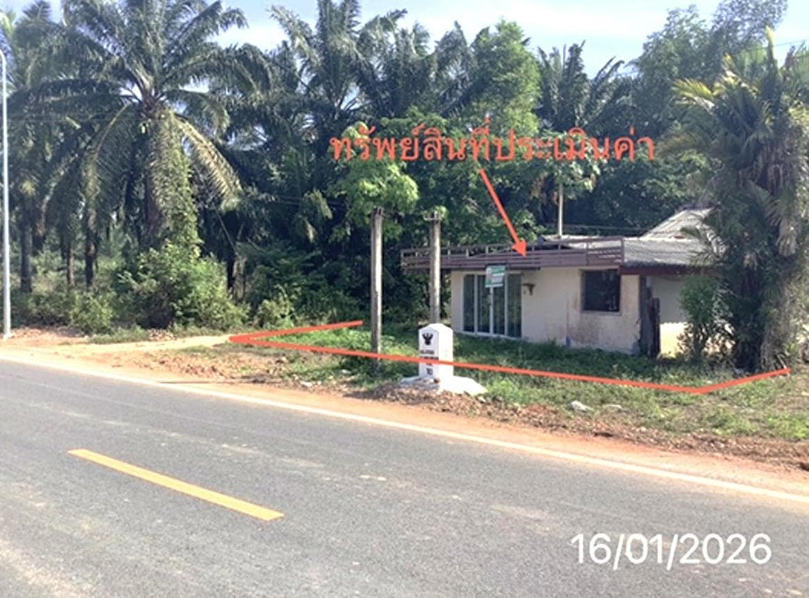 ขายบ้านเดี่ยว ทุ่งใหญ่ นครศรีธรรมราช ทำเลบางรูป เนื้อที่ 65 ตร.ว. พื้นที่ใช้สอย 200 ตร.ม. 2 ห้องนอน 1 ห้องน้ำ สภาพดี พร้อมอยู่