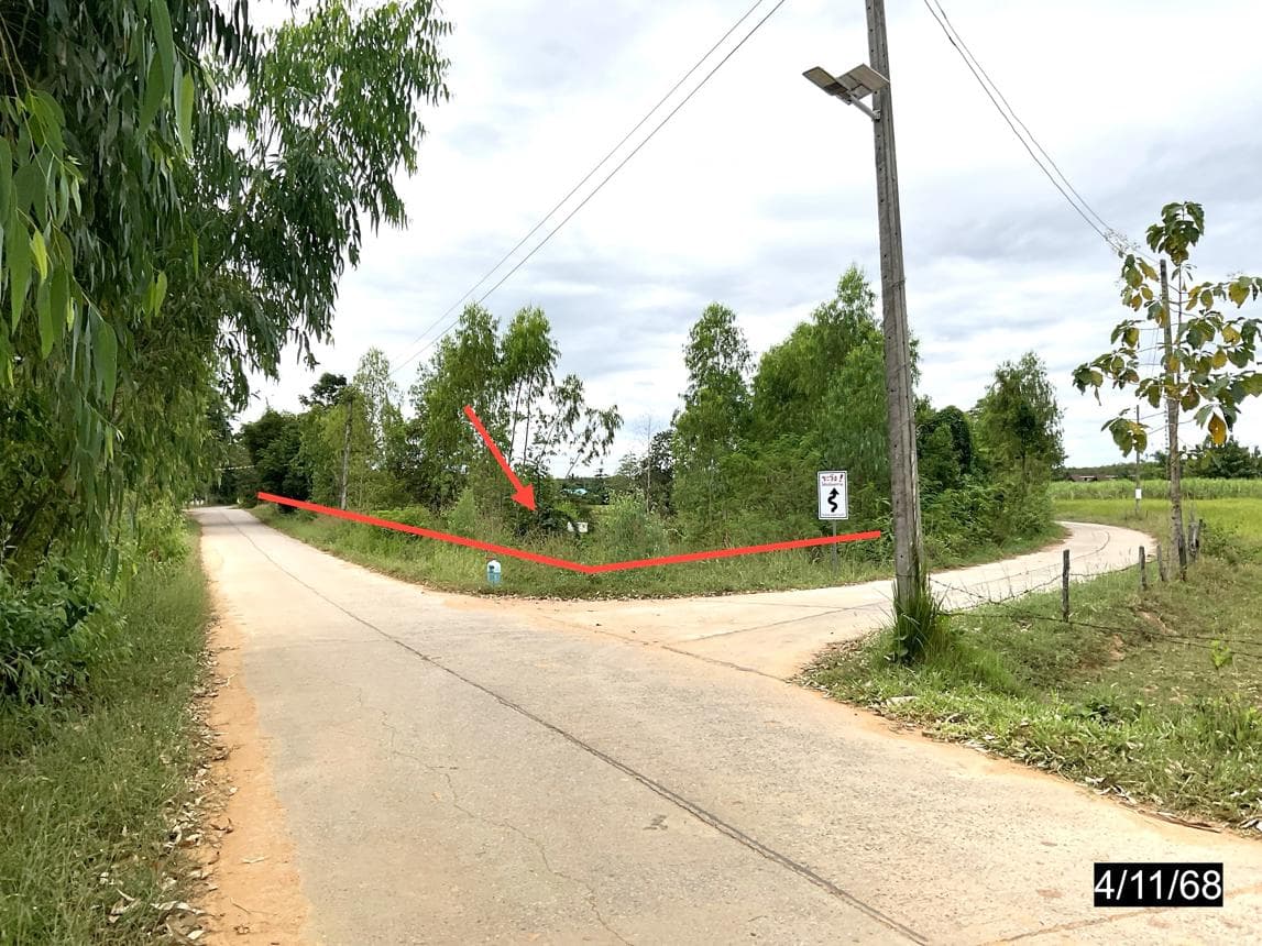 ขายที่ดินเปล่า สหัสขันธ์ กาฬสินธุ์ ทำเลภูสิงห์ เนื้อที่ 67 ตร.ว. ทำเลดี ใกล้แหล่งท่องเที่ยว เดินทางสะดวก