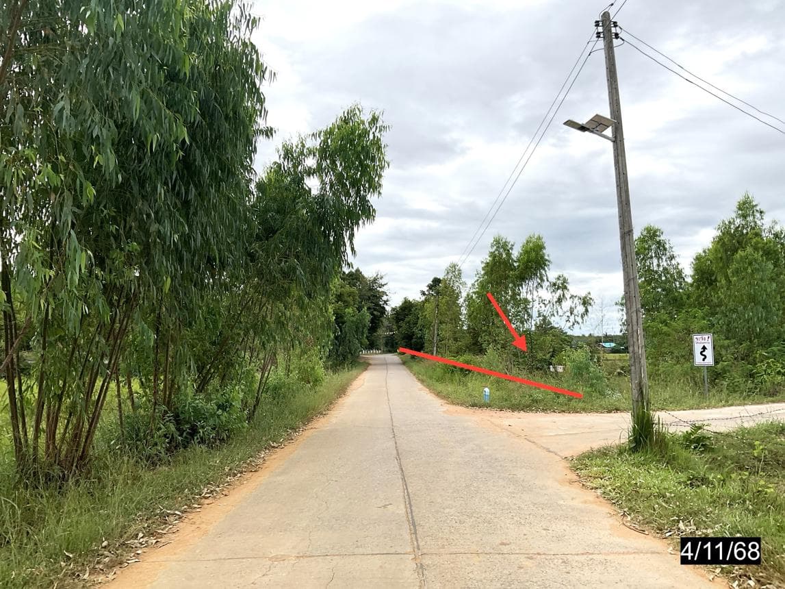 ขายที่ดินเปล่า สหัสขันธ์ กาฬสินธุ์ ทำเลภูสิงห์ เนื้อที่ 67 ตร.ว. ทำเลดี ใกล้แหล่งท่องเที่ยว เดินทางสะดวก
