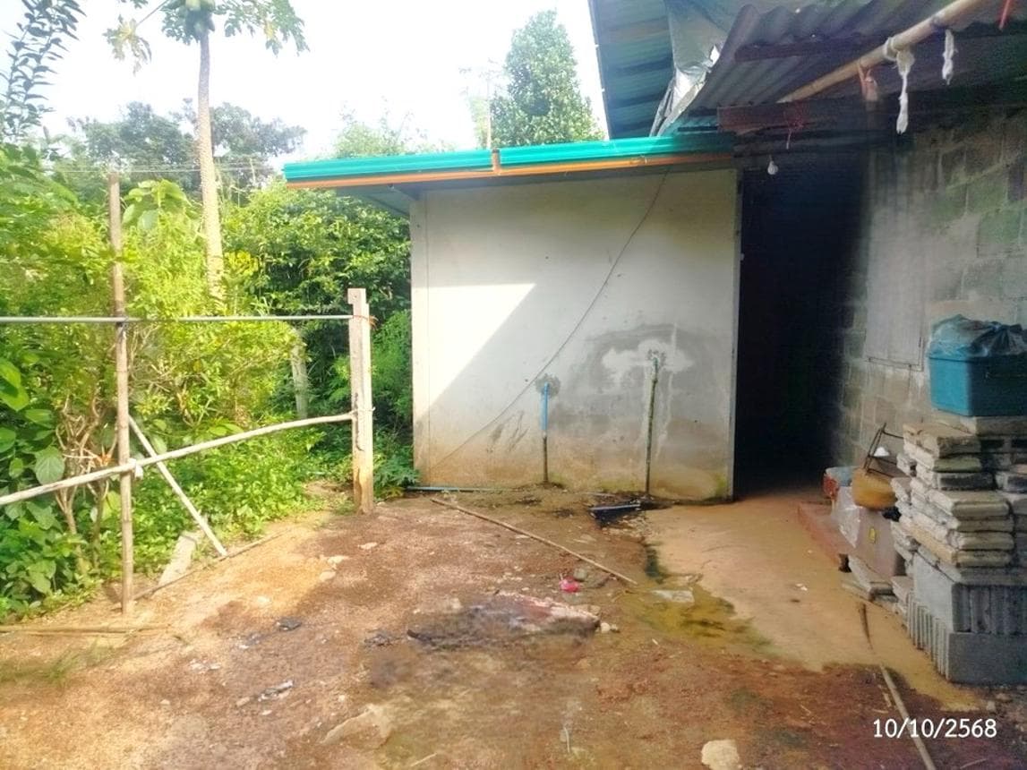 บ้านเดี่ยวหลังใหญ่ บ้านโพน โพนนาแก้ว สกลนคร 2 ห้องนอน 1 ห้องน้ำ พื้นที่ใช้สอย 264.25 ตร.ม. บนที่ดินกว้างขวาง 74 ตร.ว. ทำเลสงบ บรรยากาศส่วนตัว ราคาคุ้มค่าเพียง 1.43 ล้าน