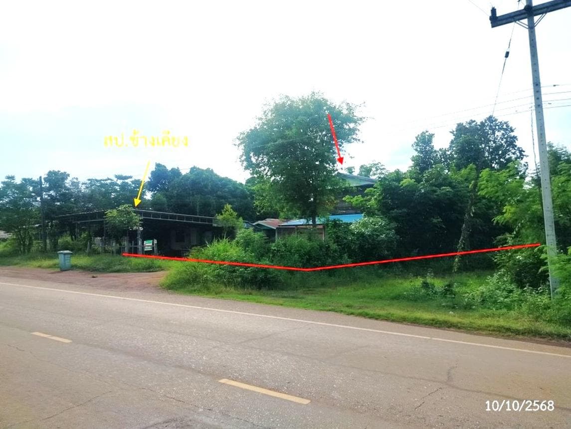บ้านเดี่ยวหลังใหญ่ บ้านโพน โพนนาแก้ว สกลนคร 2 ห้องนอน 1 ห้องน้ำ พื้นที่ใช้สอย 264.25 ตร.ม. บนที่ดินกว้างขวาง 74 ตร.ว. ทำเลสงบ บรรยากาศส่วนตัว ราคาคุ้มค่าเพียง 1.43 ล้าน