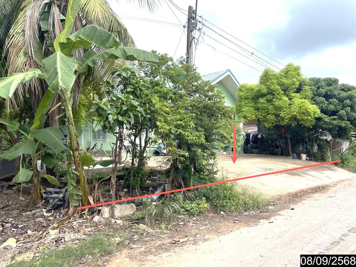 บ้านเดี่ยว นาแพง โคกโพธิ์ไชย ขอนแก่น 2 ห้องนอน 1 ห้องน้ำ พื้นที่ใช้สอย 123 ตร.ม. บนที่ดินกว้างขวาง 82 ตร.ว. ทำเลสงบเป็นส่วนตัว ราคาพิเศษ 1.26 ล้าน