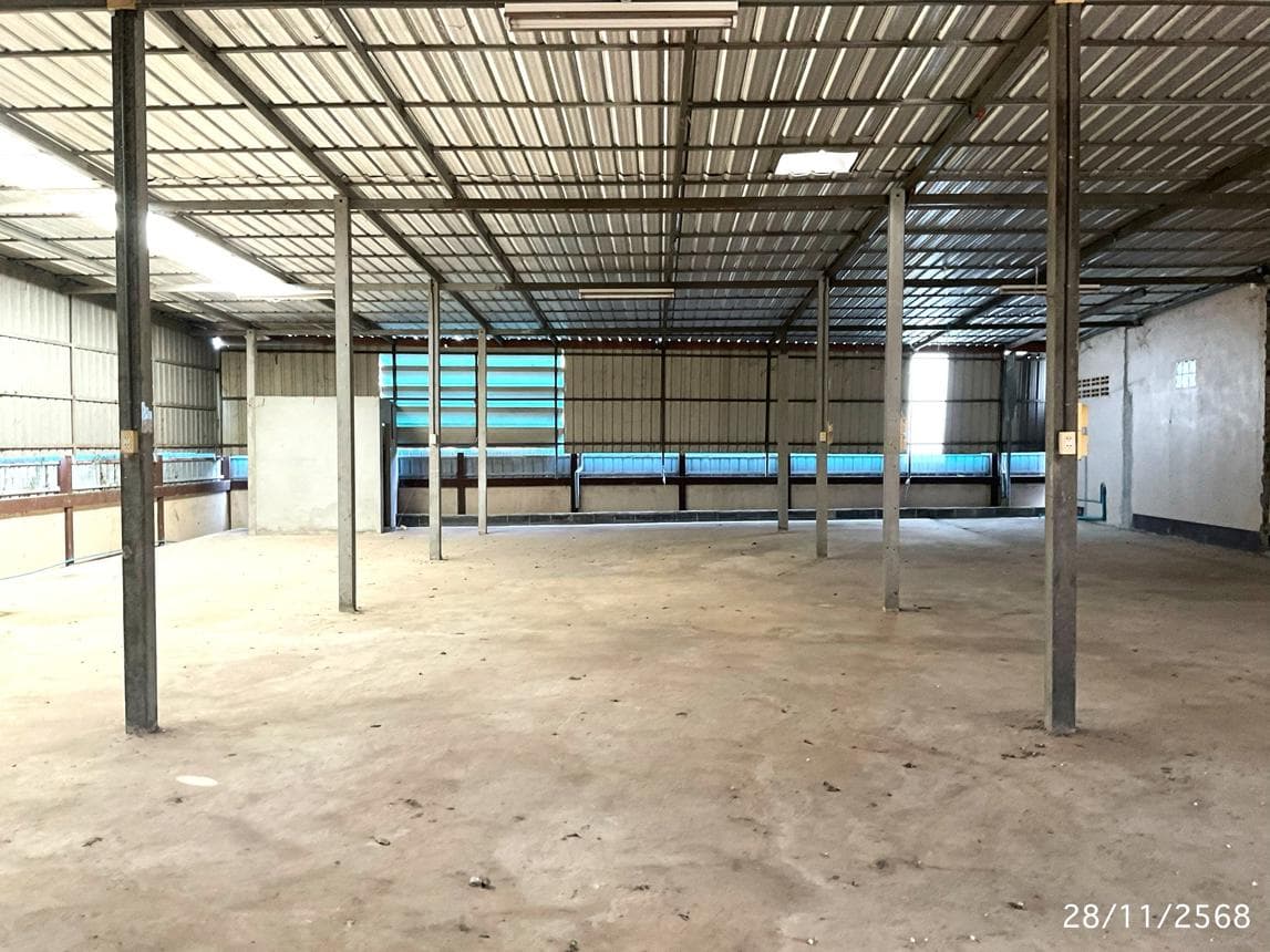 ขายโกดัง ยางโยภาพ ม่วงสามสิบ อุบลราชธานี พื้นที่ใช้สอย 292.5 ตร.ม.