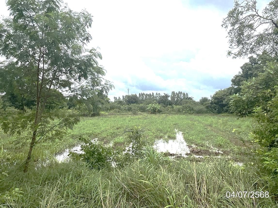 ที่ดินทำเลศักยภาพ วัฒนานคร สระแก้ว แปลงใหญ่ เหมาะสำหรับลงทุนและพัฒนาโครงการ