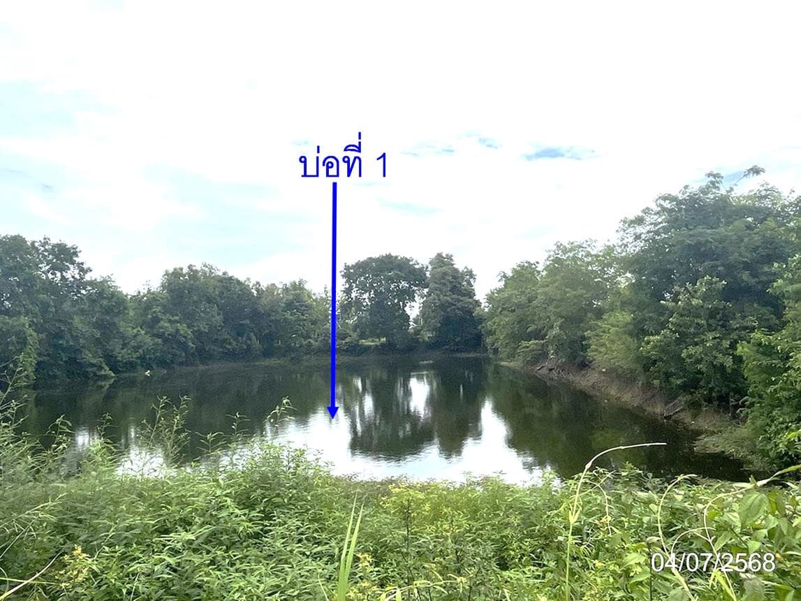 ที่ดินทำเลศักยภาพ วัฒนานคร สระแก้ว แปลงใหญ่ เหมาะสำหรับลงทุนและพัฒนาโครงการ