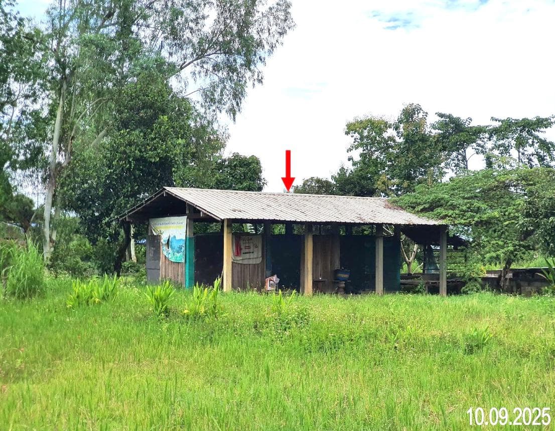 บ้านเดี่ยวหลังใหญ่ 5 ห้องนอน ทำเลป่ากลาง ปัว น่าน บรรยากาศร่มรื่น วิวสวย เหมาะสำหรับครอบครัวใหญ่