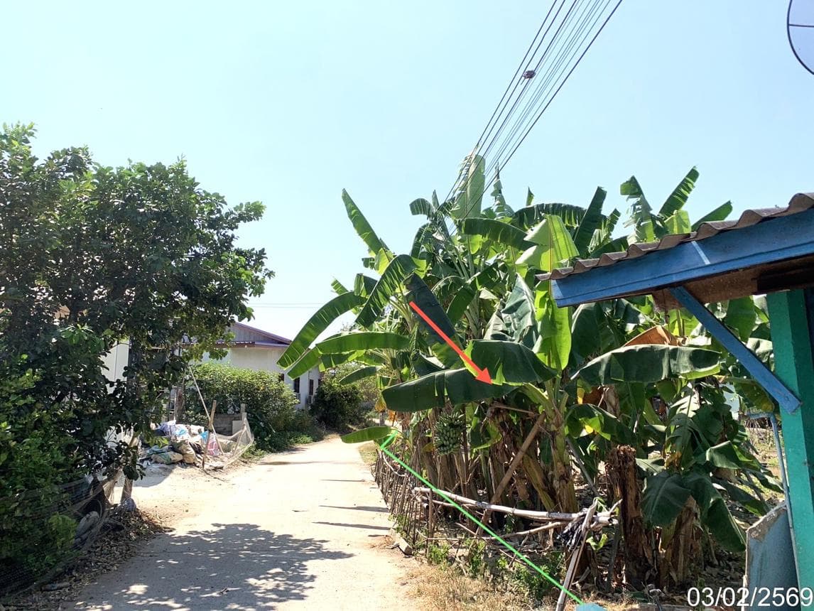 บ้านเดี่ยว หนองกระทุ่ม เดิมบางนางบวช สุพรรณบุรี 2 ห้องนอน 146 ตร.ม. บนที่ดิน 50 ตร.ว. ทำเลสงบ บรรยากาศบ้านสวน