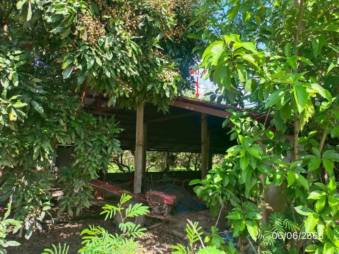 ขายโกดัง เวียงชัย เชียงราย ทำเลเวียงเหนือ พื้นที่ใช้สอยมหาศาล 1,440 ตร.ม. เหมาะสำหรับคลังสินค้าขนาดใหญ่