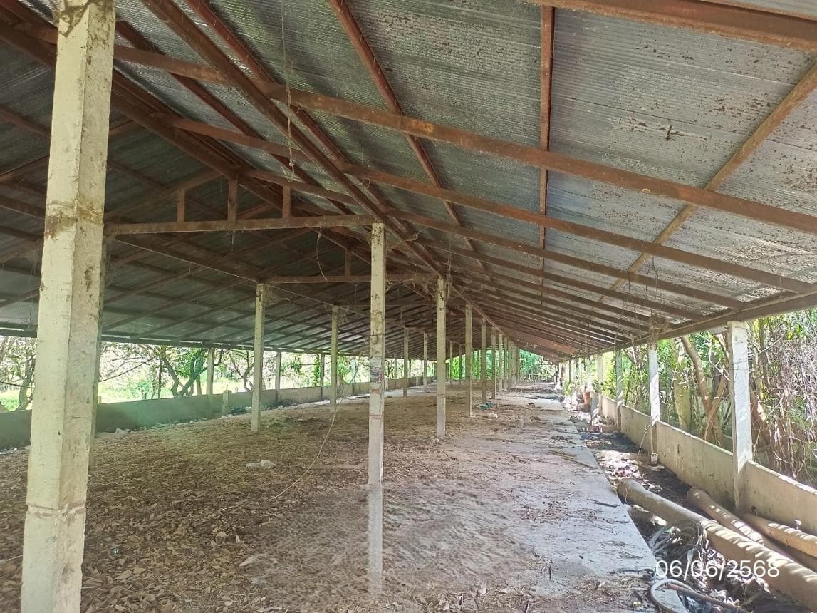 ขายโกดัง เวียงชัย เชียงราย ทำเลเวียงเหนือ พื้นที่ใช้สอยมหาศาล 1,440 ตร.ม. เหมาะสำหรับคลังสินค้าขนาดใหญ่