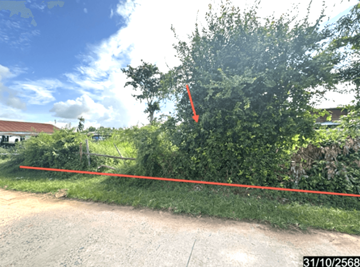 ขายที่ดินเปล่า บัวหุ่ง ราษีไศล ศรีสะเกษ เนื้อที่ 34 ตร.ว. ทำเลสงบ เหมาะสร้างบ้านขนาดกะทัดรัด