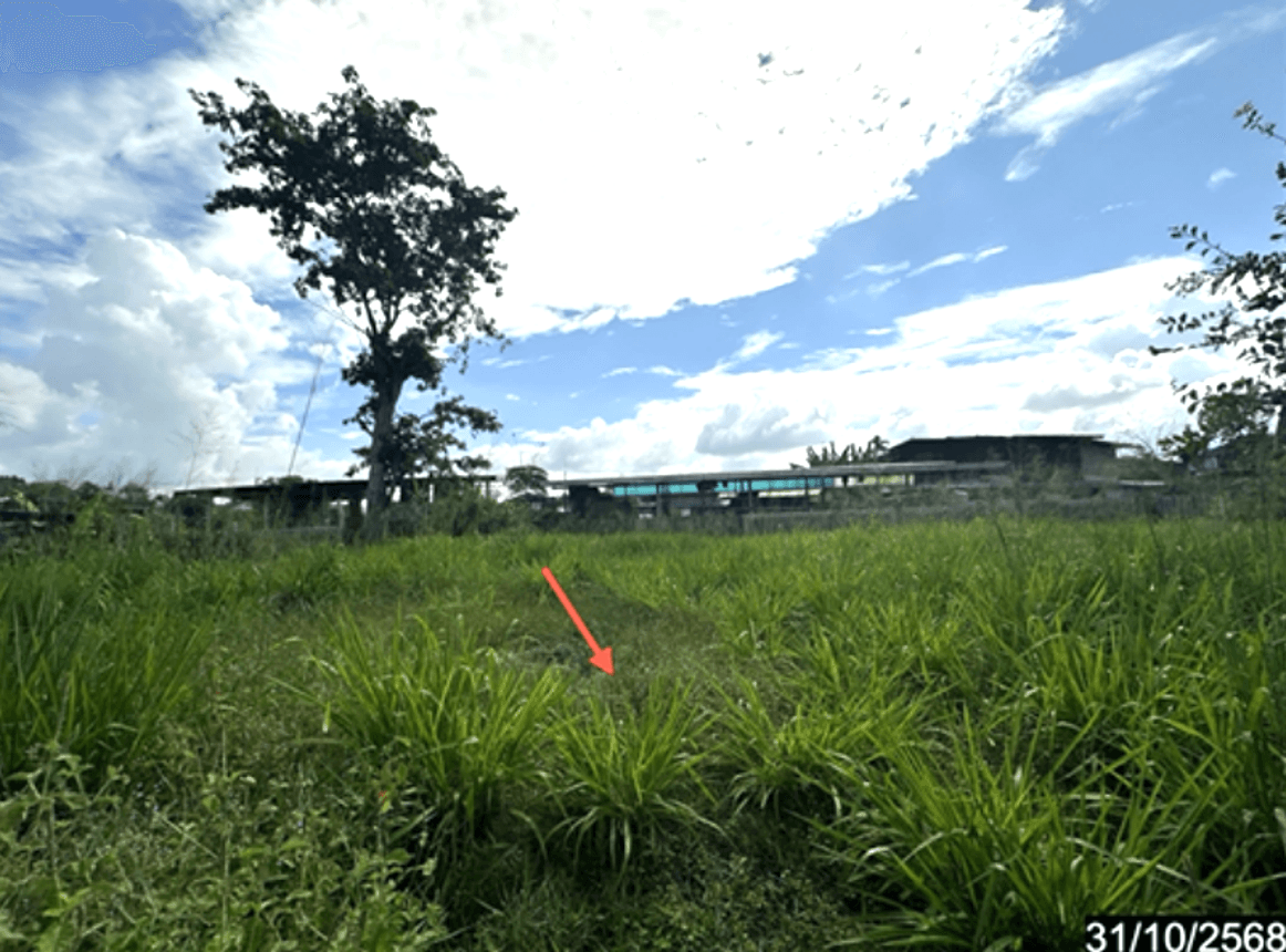 ขายที่ดินเปล่า บัวหุ่ง ราษีไศล ศรีสะเกษ เนื้อที่ 34 ตร.ว. ทำเลสงบ เหมาะสร้างบ้านขนาดกะทัดรัด