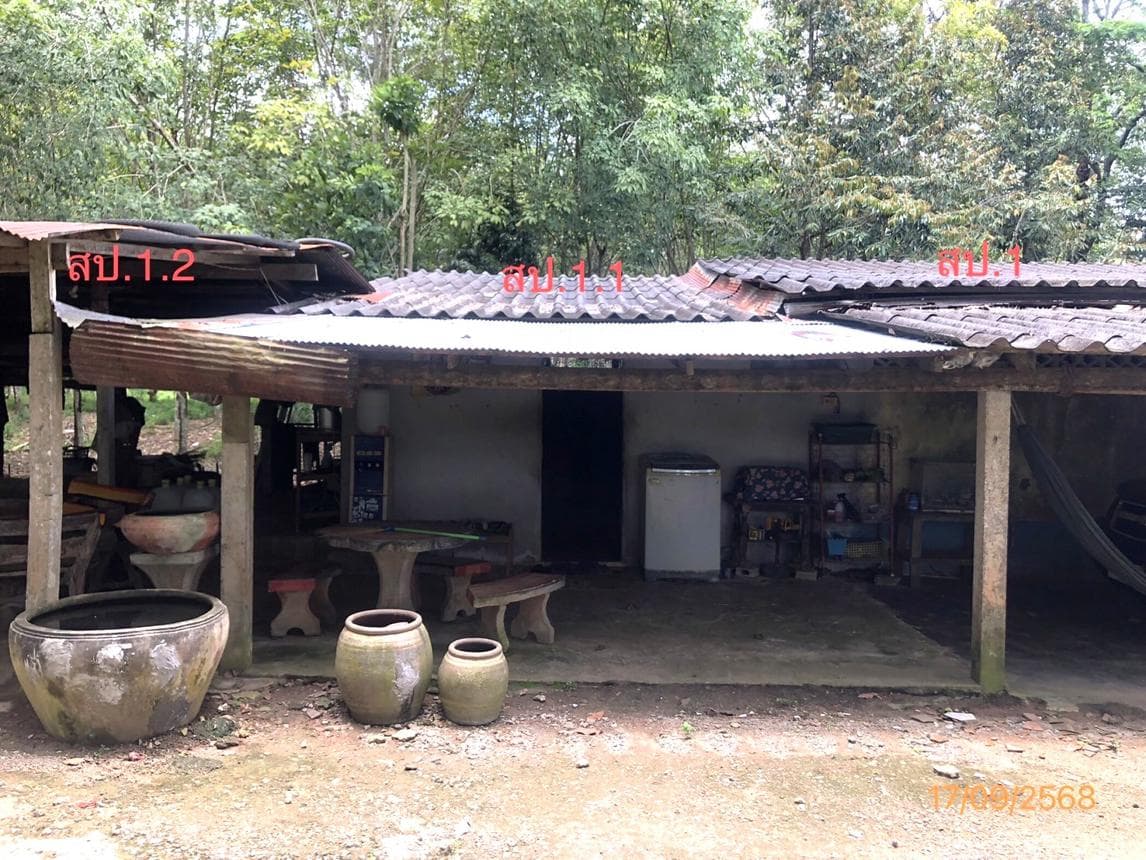 บ้านเดี่ยว ชัยบุรี สุราษฎร์ธานี 2 ห้องนอน 1 ห้องน้ำ พื้นที่กว้างขวางเป็นพิเศษ 264.4 ตร.ม. ทำเลสงบราคาล้านต้นๆ