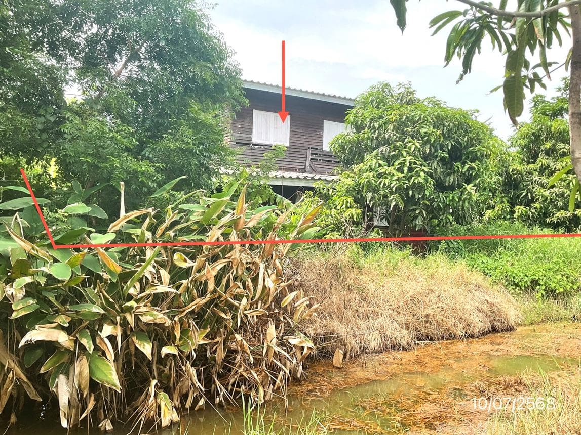 ขายบ้านเดี่ยว บางเสาธง สมุทรปราการ 1 ห้องนอน สเปซใหญ่จุใจ 198 ตร.ม. ทำเลดี ราคาเพียง 2.24 ล้านนั่นเอง