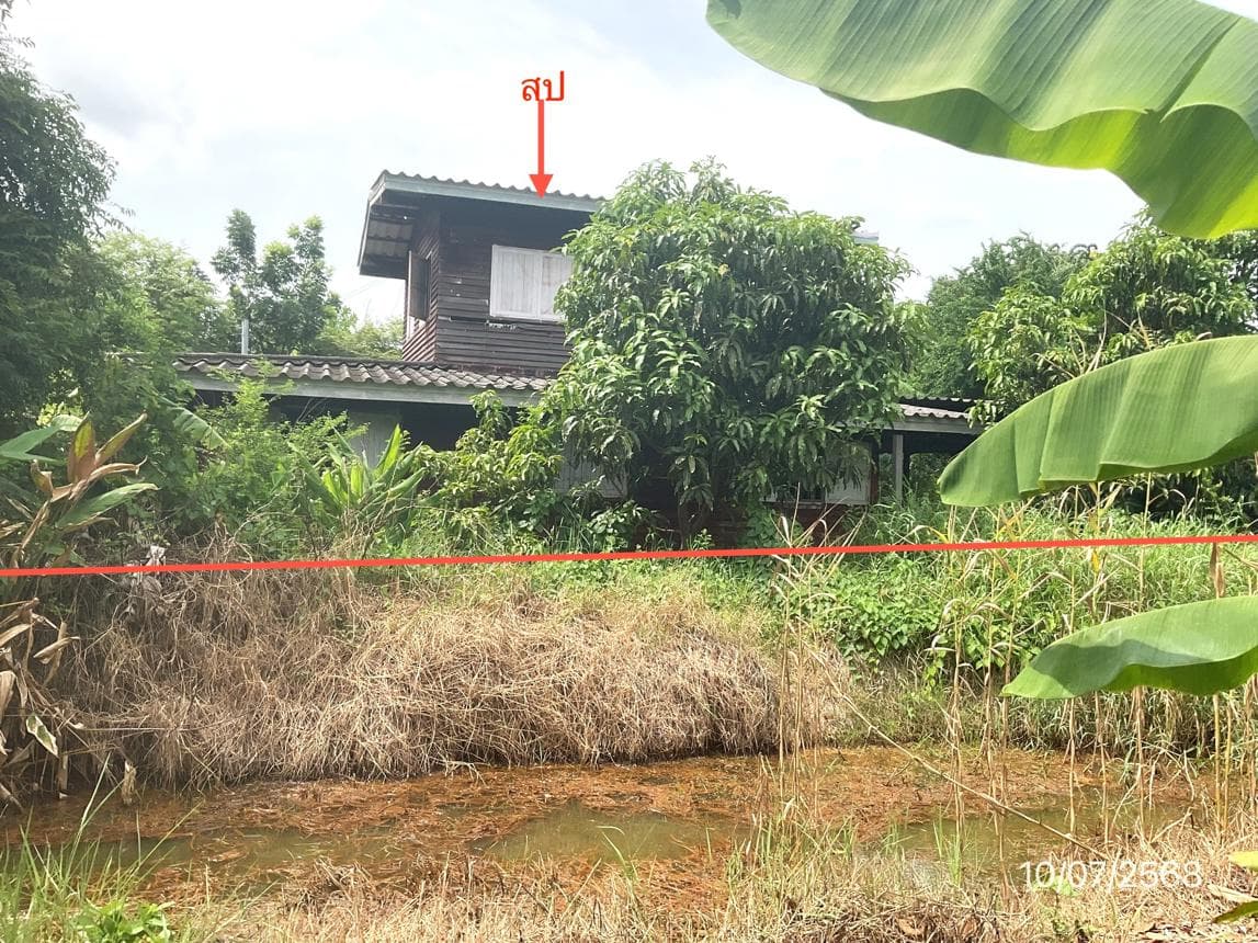 ขายบ้านเดี่ยว บางเสาธง สมุทรปราการ 1 ห้องนอน สเปซใหญ่จุใจ 198 ตร.ม. ทำเลดี ราคาเพียง 2.24 ล้านนั่นเอง
