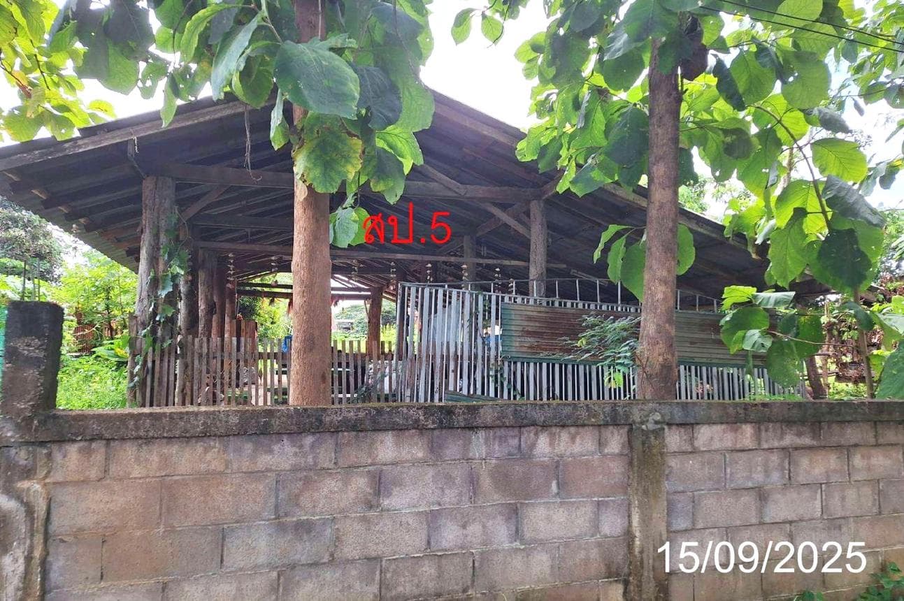 บ้านเดี่ยว เสริมซ้าย เสริมงาม ลำปาง 4 ห้องนอน 2 ห้องน้ำ พื้นที่กว้างขวาง 208.75 ตร.ม. บนเนื้อที่ 77 ตร.ว. ทำเลสงบราคา 3 ล้านปลายๆ