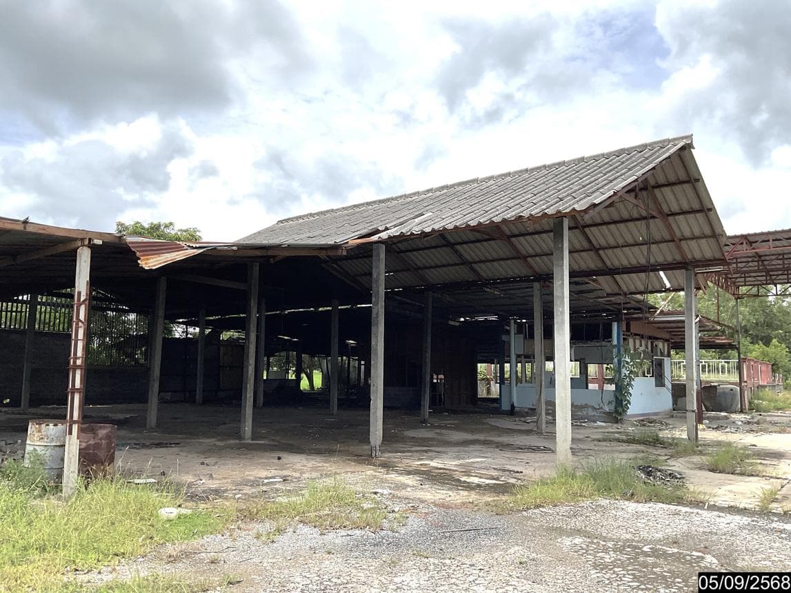 บ้านเดี่ยว 3 ห้องนอน พื้นที่ 227.2 ตร.ม. ทำเลศักยภาพ ด่านขุนทด ด่านขุนทด นครราชสีมา