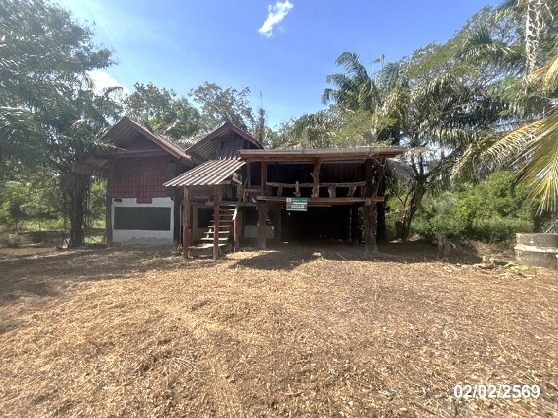 บ้านเดี่ยว 2 ห้องนอน พื้นที่ 122.25 ตร.ม. ทำเลศักยภาพ แจระแม เมืองอุบลราชธานี อุบลราชธานี