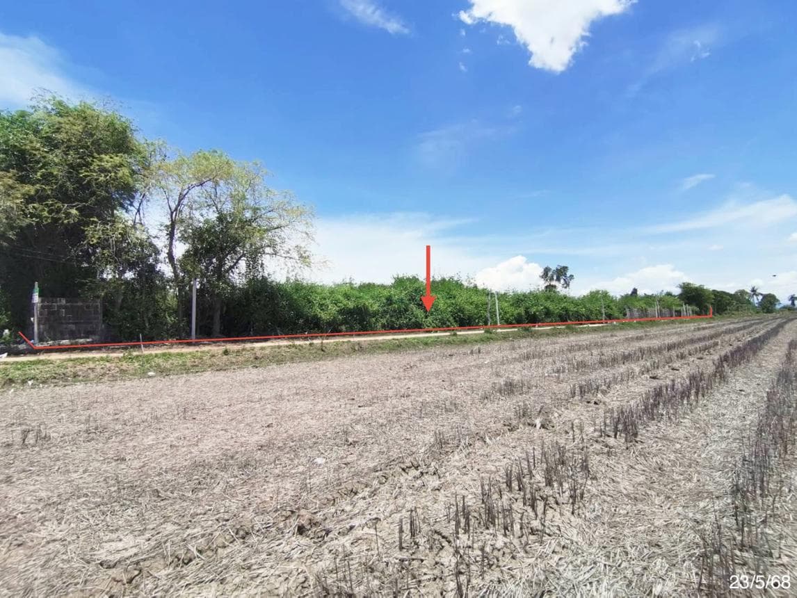 ขายที่ดินเปล่า บางจาน เมืองเพชรบุรี ทำเลดี บรรยากาศสงบ เหมาะสร้างบ้านและลงทุน ราคา 1.71 ล้าน