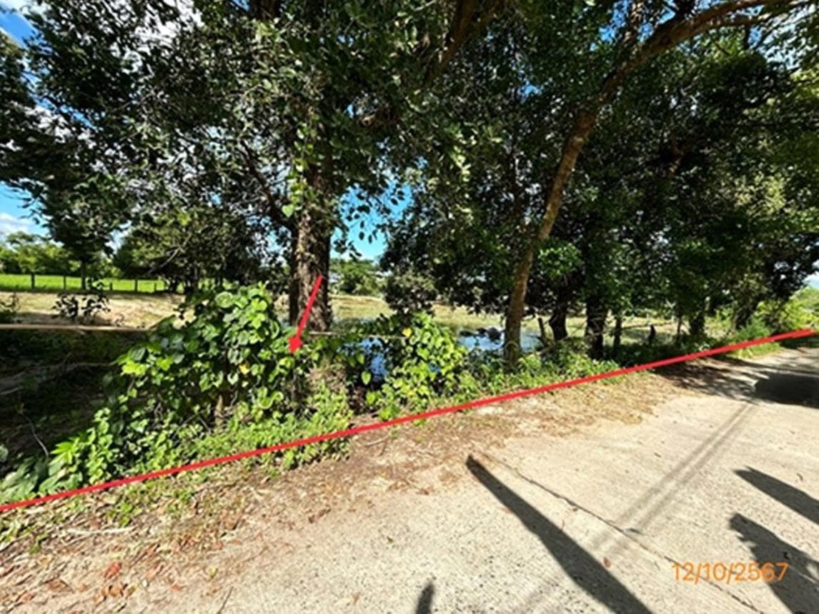 ขายที่ดินว่างเปล่า บ้านกอก เขื่องใน อุบลราชธานี เนื้อที่ 85 ตร.ว. ทำเลดี เหมาะสำหรับสร้างบ้านและลงทุน