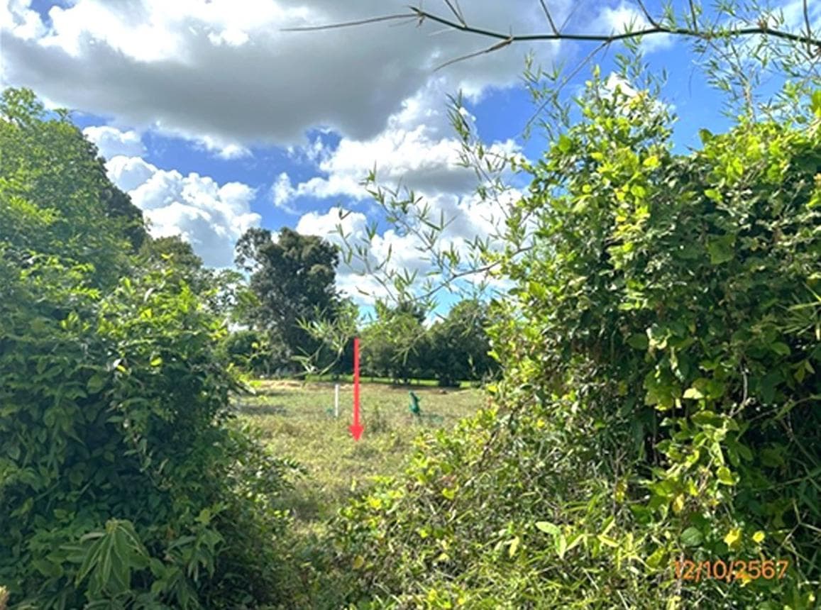 ขายที่ดินว่างเปล่า บ้านกอก เขื่องใน อุบลราชธานี เนื้อที่ 85 ตร.ว. ทำเลดี เหมาะสำหรับสร้างบ้านและลงทุน