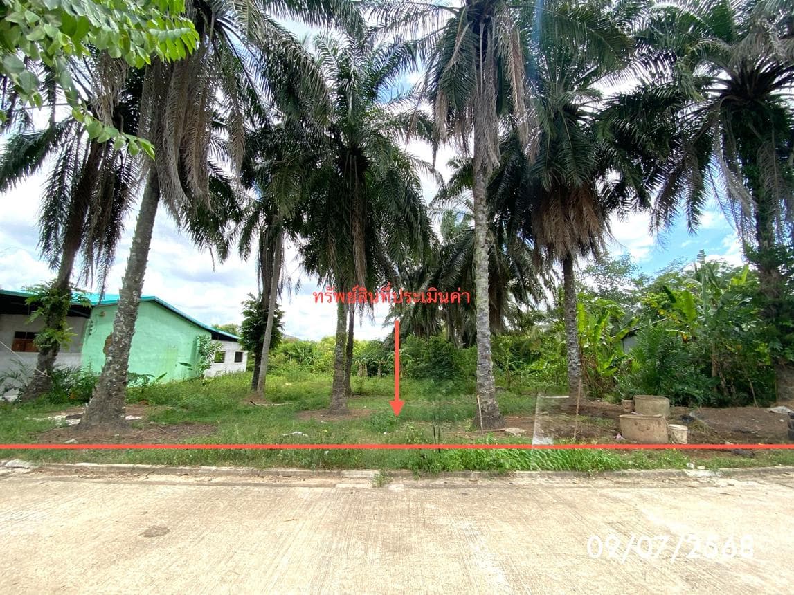 ที่ดินทำเลศักยภาพ ปาดังเบซาร์ สะเดา สงขลา 97.7 ตร.ว. เหมาะสร้างบ้านหรือลงทุนเพื่ออนาคต