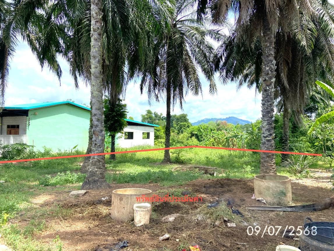 ที่ดินทำเลศักยภาพ ปาดังเบซาร์ สะเดา สงขลา 97.7 ตร.ว. เหมาะสร้างบ้านหรือลงทุนเพื่ออนาคต